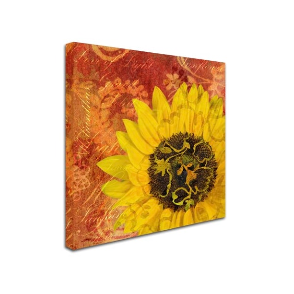 Cora Niele 'Sunflower - Love Of Light' Canvas Art,14x14